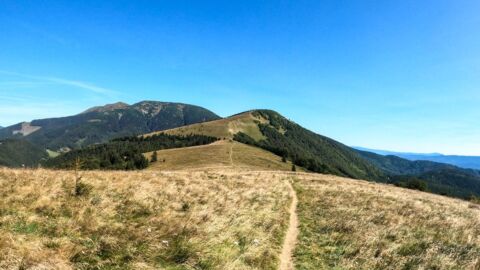 Kozí chrbát – najvyšší vrch Starohorských vrchov