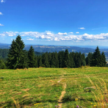 Hukľove lúky