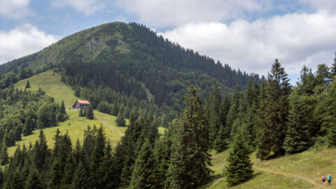 Borišov a chata pod Borišovom