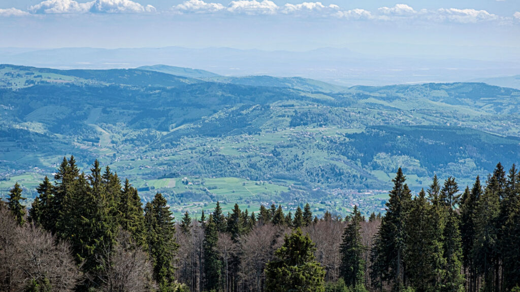 Výhľad z Prednej Poľany